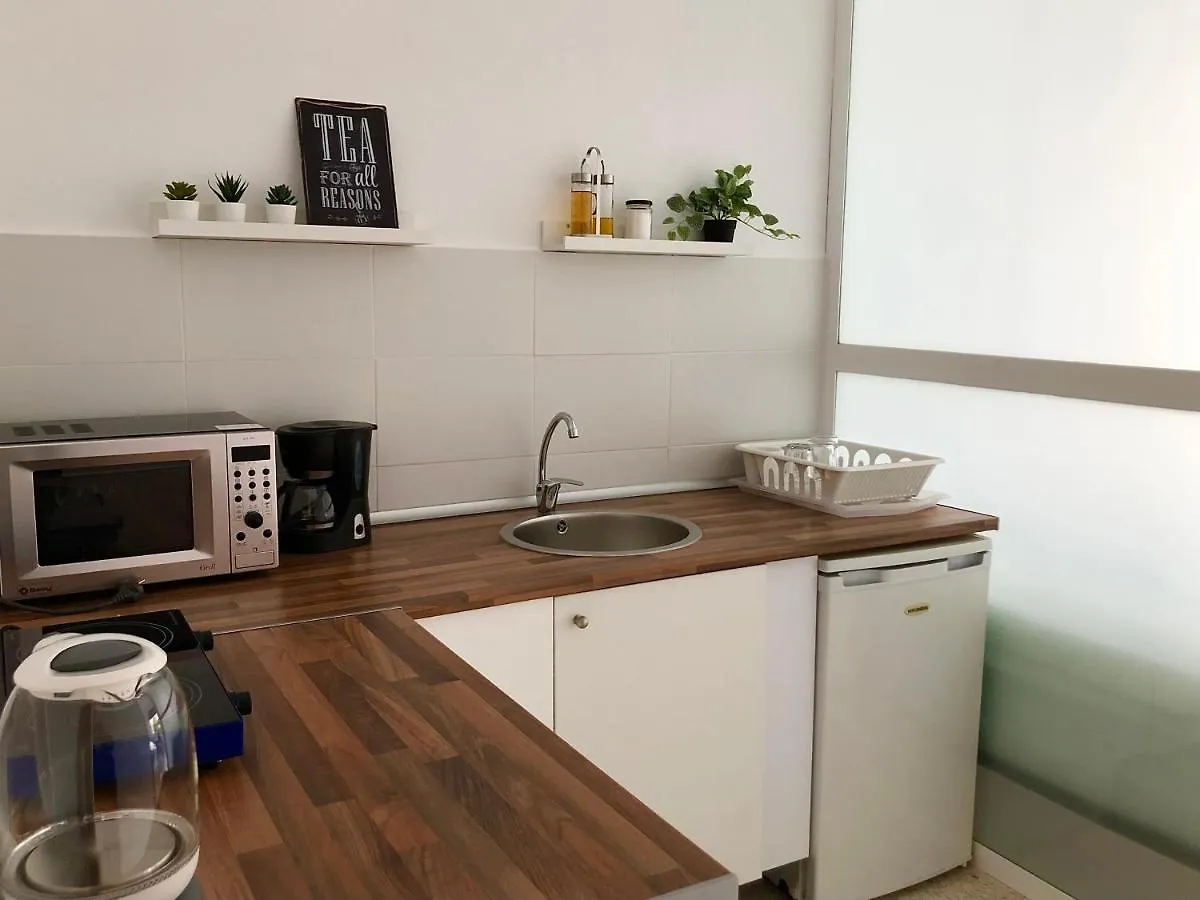 Loft Con Acceso A Piscina Apartment Malaga Spain