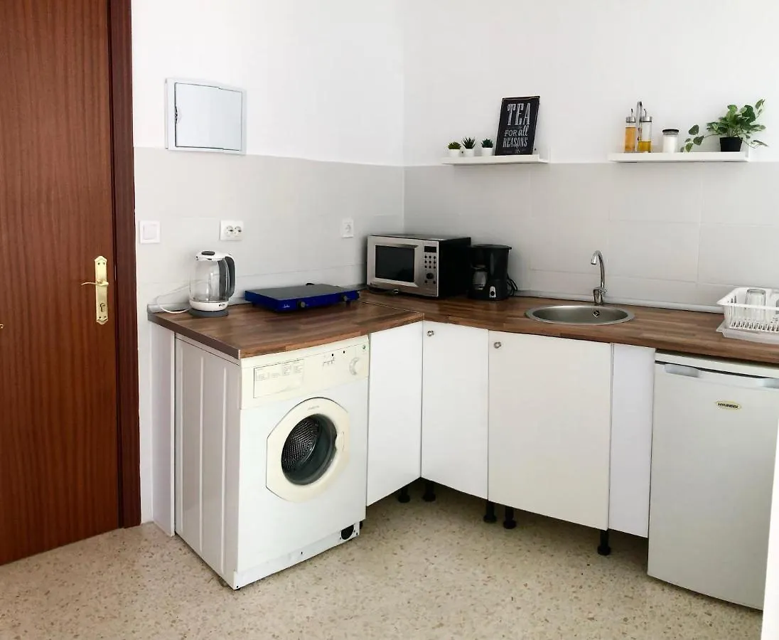 Loft Con Acceso A Piscina Apartment Malaga